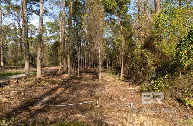 0 Shore Drive, Foley, AL 36535