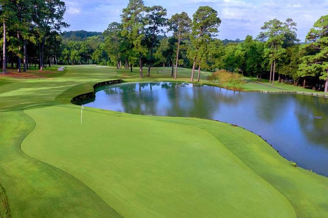 88 Lakeview Village, Conroe, TX 77356