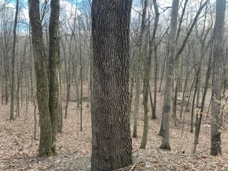 0 Eddyburg Road NE, Newark, OH 43055