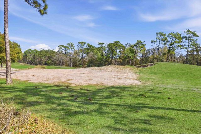 439 VICTORIA HILLS DRIVE, Deland, FL 32724