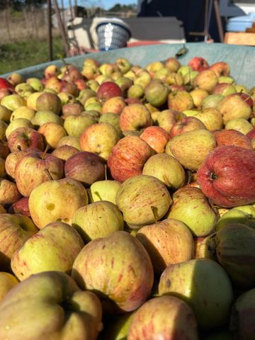 2150 Drake Hill Road, Fortuna, CA 95540