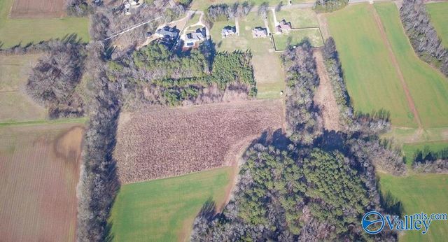 19 acres Carters Gin Road, Toney, AL 35773