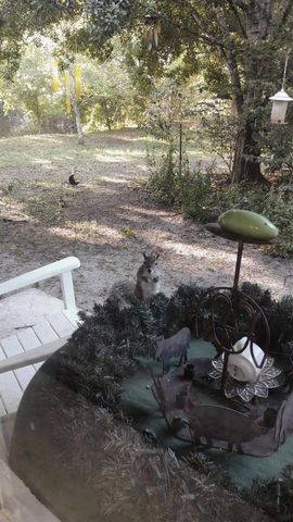 15531 42nd Road N, Loxahatchee Groves, FL 33470