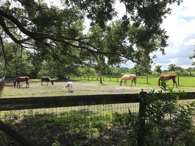 15531 42nd Road N, Loxahatchee Groves, FL 33470