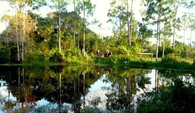 15531 42nd Road N, Loxahatchee Groves, FL 33470
