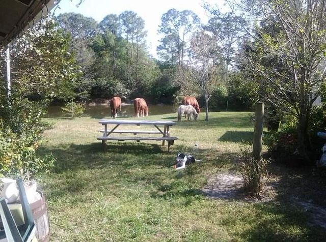 15531 42nd Road N, Loxahatchee Groves, FL 33470