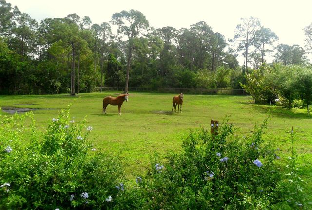 15531 42nd Road N, Loxahatchee Groves, FL 33470