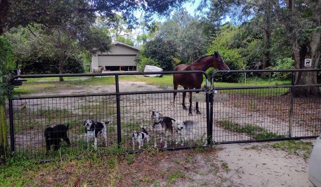 15531 42nd Road N, Loxahatchee Groves, FL 33470