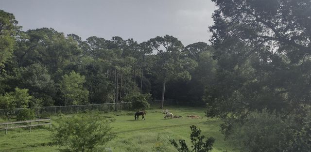 15531 42nd Road N, Loxahatchee Groves, FL 33470