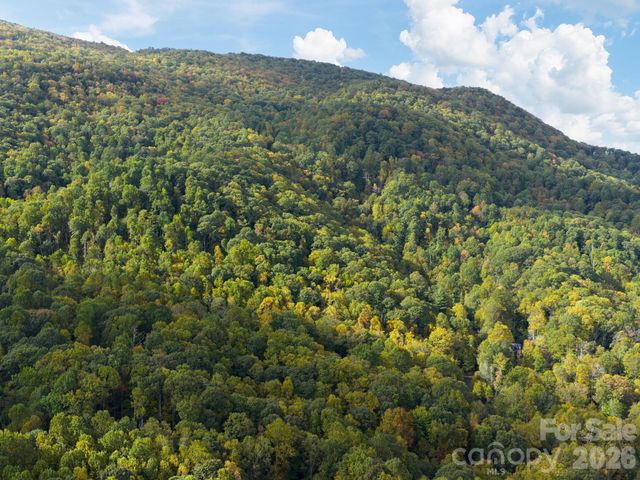 102 Carriage Drive, Fairview, NC 28730