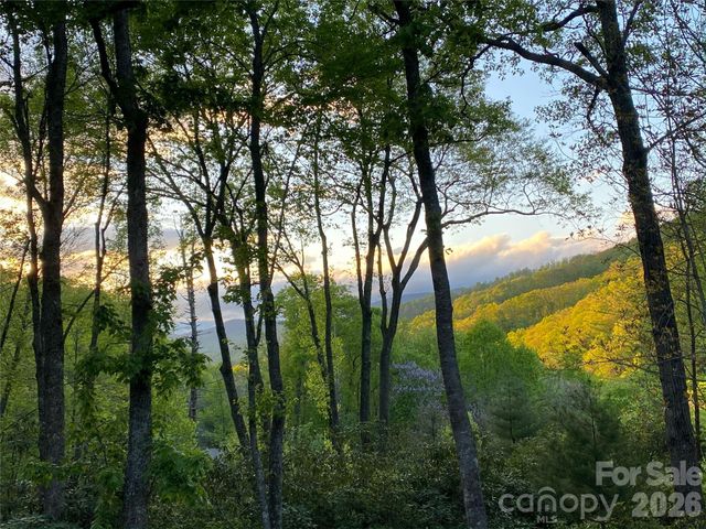 102 Carriage Drive, Fairview, NC 28730