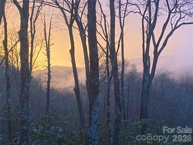 102 Carriage Drive, Fairview, NC 28730