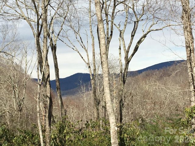 102 Carriage Drive, Fairview, NC 28730