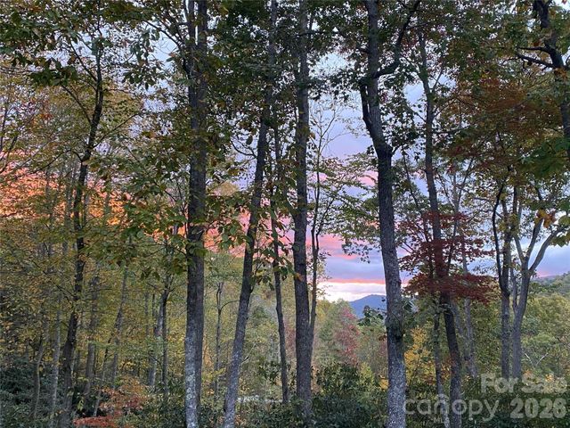 102 Carriage Drive, Fairview, NC 28730