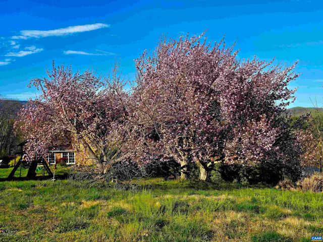 128 ROCKFISH ORCHARD DR, Afton, VA 22920