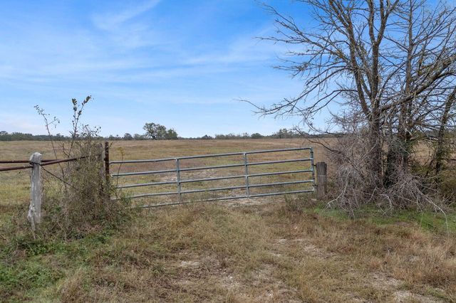 CR 123 - Tract 3, Bedias, TX 77831