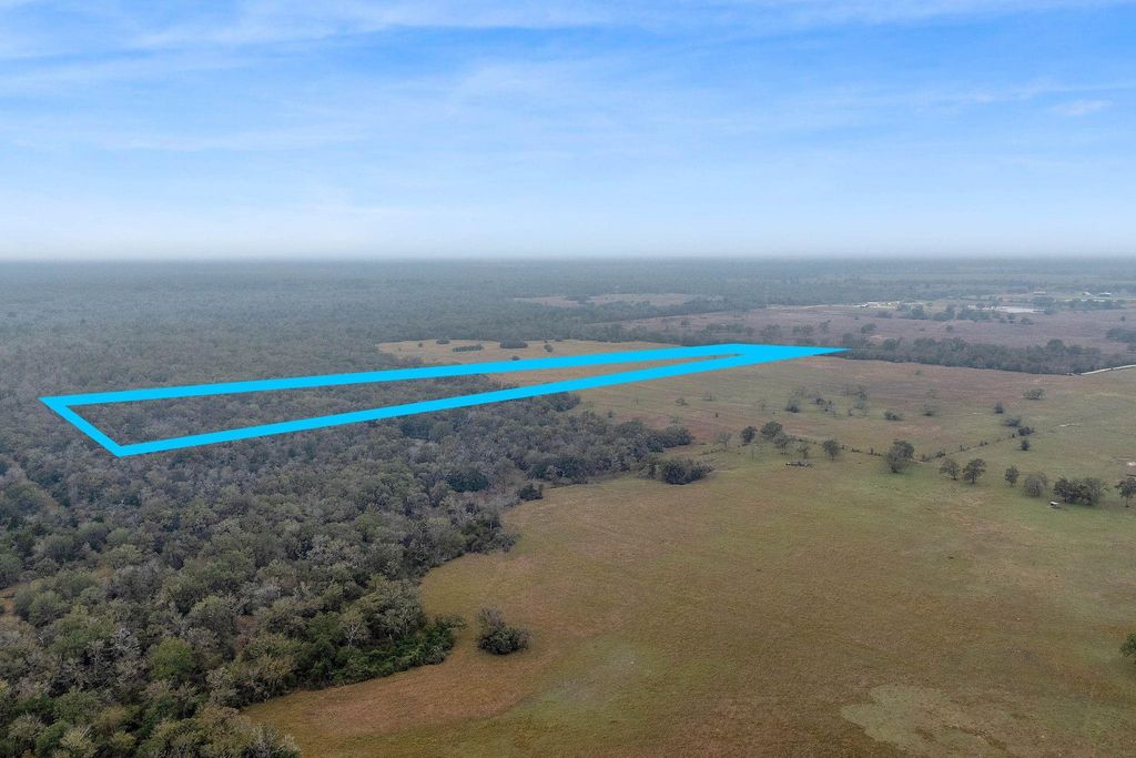 CR 123 - Tract 3, Bedias, TX 77831