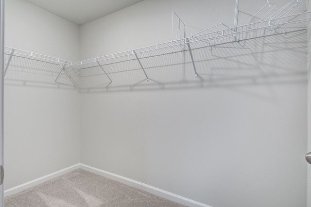 233 W Bradford Pointe Drive, Summerville, SC 29486