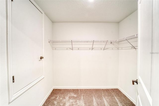 5514 BLUE AZURE DRIVE, Wimauma, FL 33598