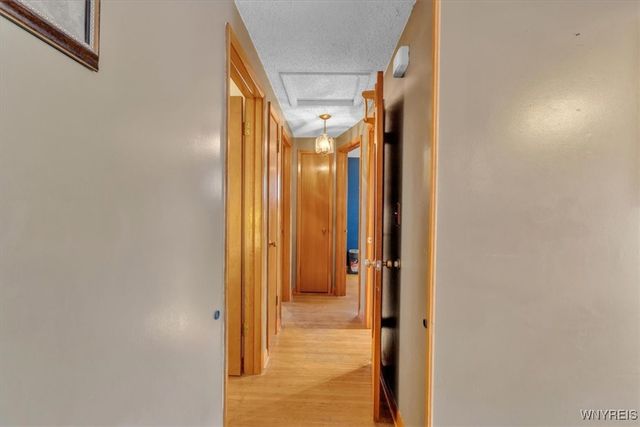 204 Diane Drive, Cheektowaga, NY 14225