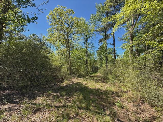 10 ac Cr 2926, Buffalo, TX 75831