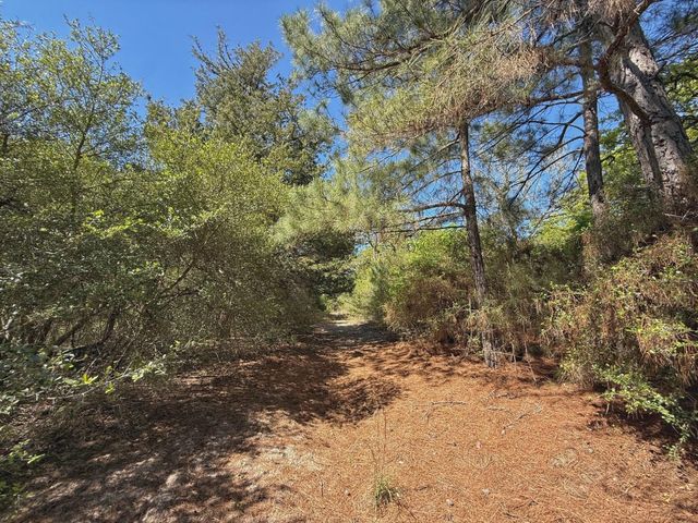 10 ac Cr 2926, Buffalo, TX 75831