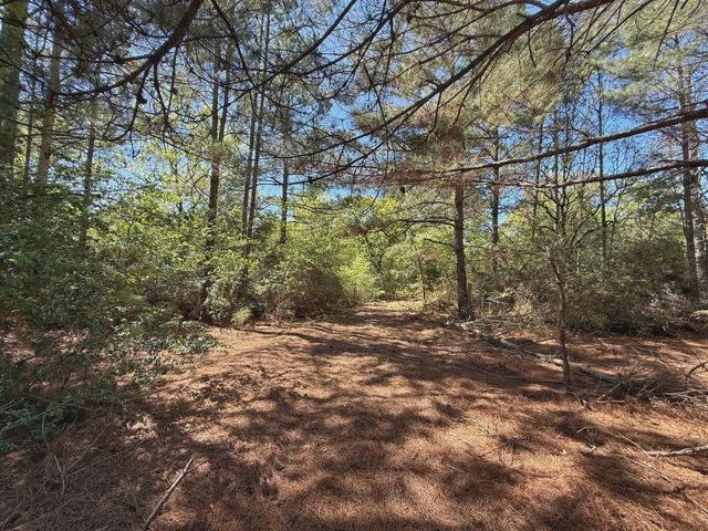 10 ac Cr 2926, Buffalo, TX 75831