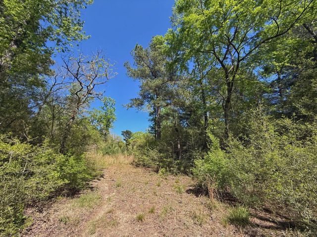 10 ac Cr 2926, Buffalo, TX 75831