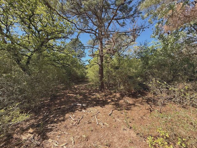10 ac Cr 2926, Buffalo, TX 75831