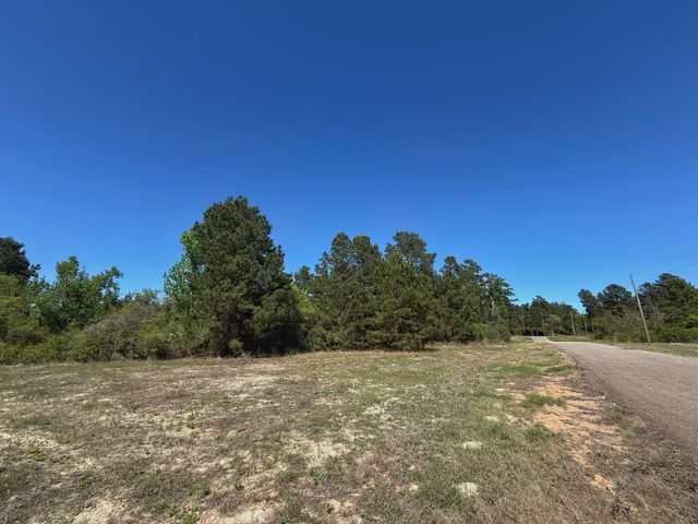 10 ac Cr 2926, Buffalo, TX 75831