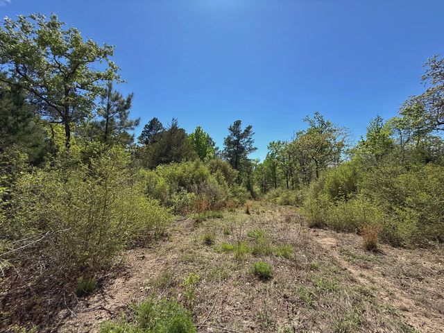 10 ac Cr 2926, Buffalo, TX 75831