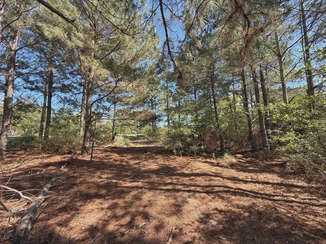 10 ac Cr 2926, Buffalo, TX 75831