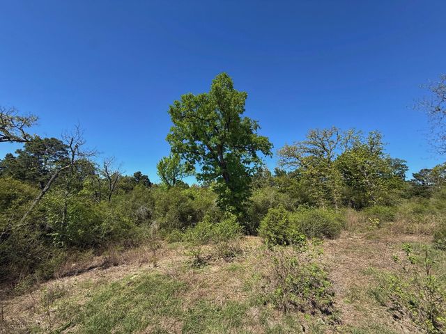 10 ac Cr 2926, Buffalo, TX 75831