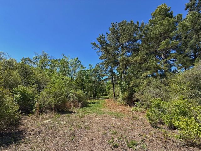 10 ac Cr 2926, Buffalo, TX 75831