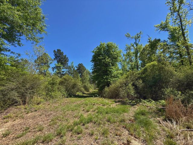 10 ac Cr 2926, Buffalo, TX 75831