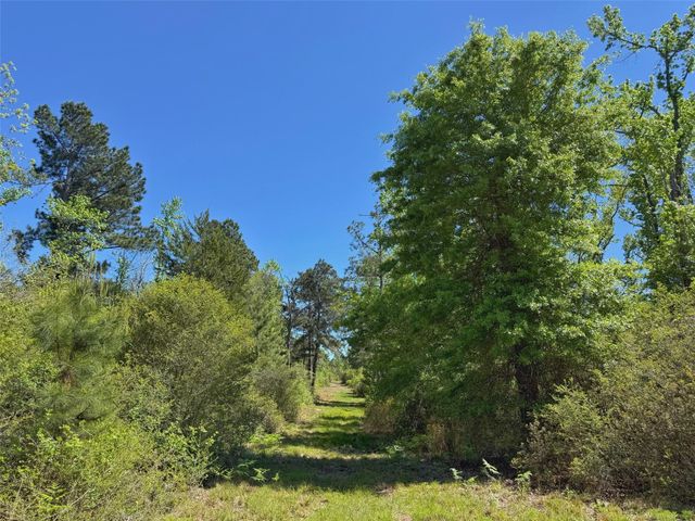 10 ac Cr 2926, Buffalo, TX 75831
