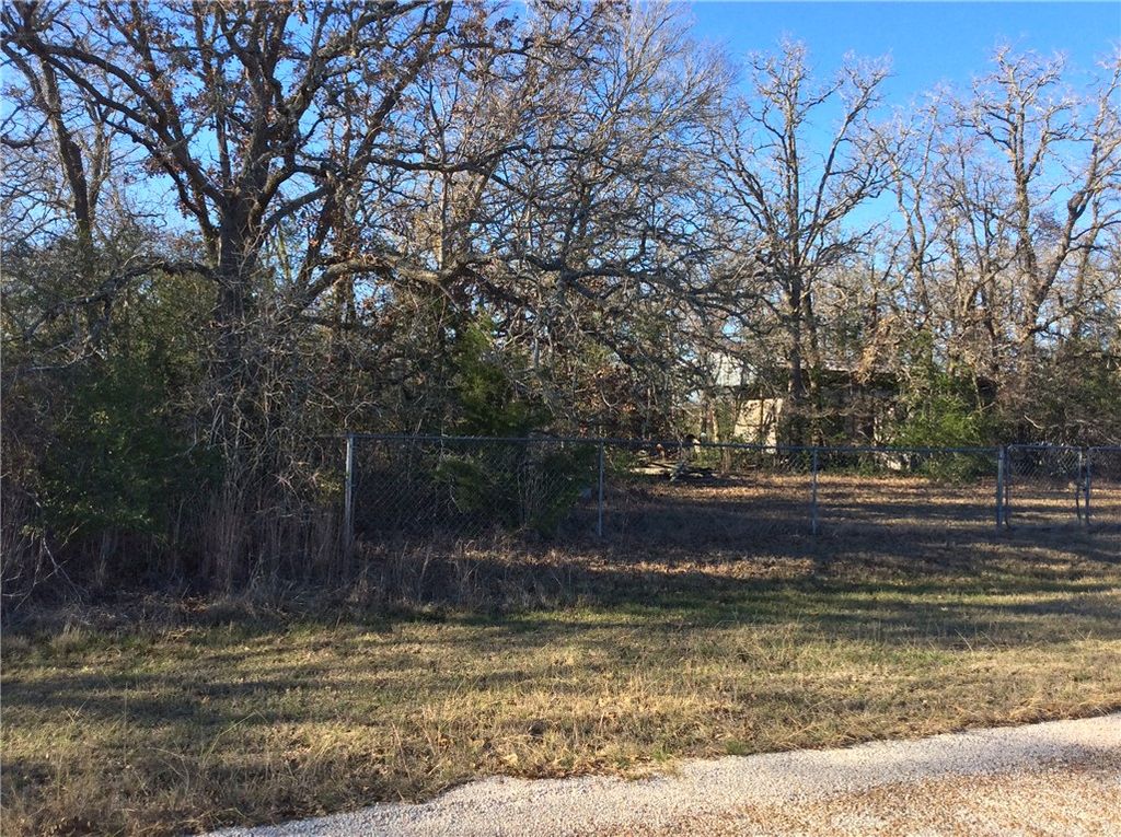 320 Alvina Ulich, Somerville, TX 77879 — photo 5