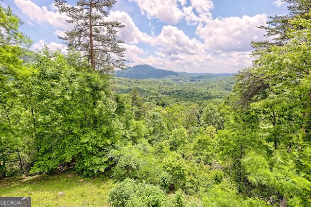 601 Black Bear Den Road, Clayton, GA 30525
