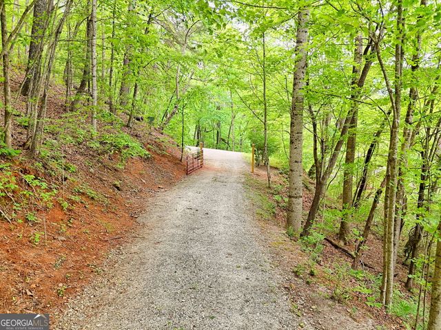 601 Black Bear Den Road, Clayton, GA 30525