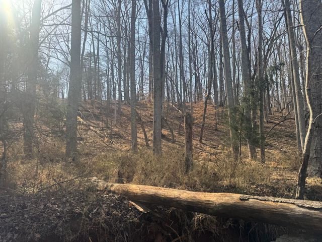 0 Northridge RD, Hardy, VA 24101