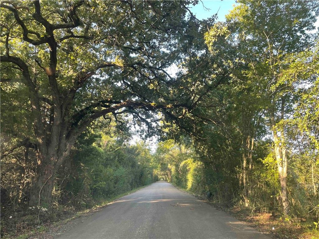 280 Brazos Bend, Snook, TX 77878 — photo 2