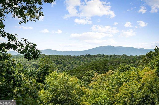 185 Austin Mountain Road, Copperhill, TN 37317