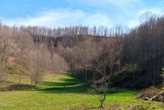 Tbd Miller Lane, Trade, TN 37691