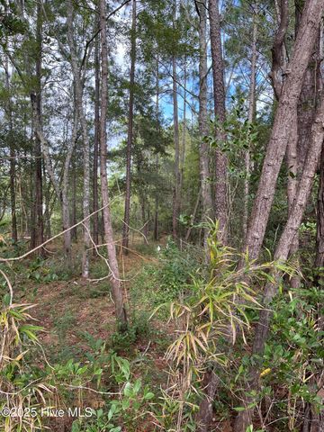 10,22,30 Cherry Road, Southport, NC 28461