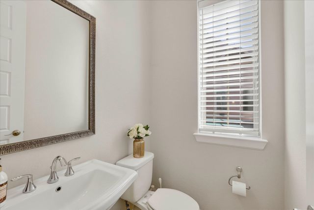 1141 Tea Olive Lane, Dallas, TX 75212