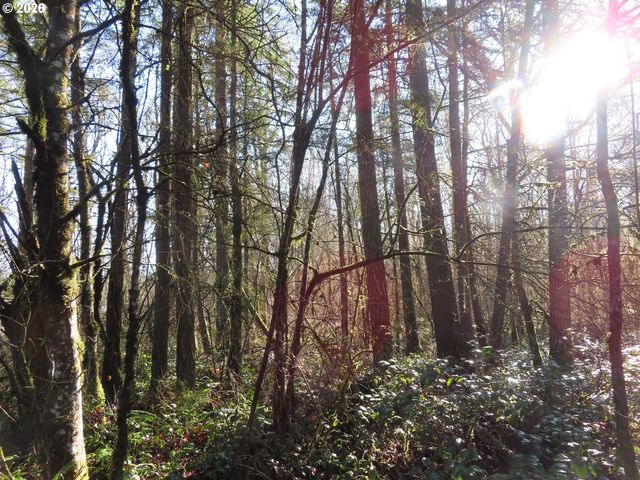 115 CAMPGROUND Ln, Winlock, WA 98596