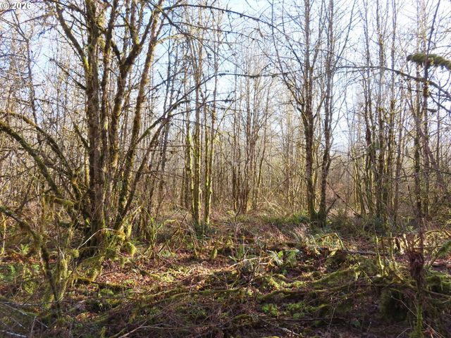 115 CAMPGROUND Ln, Winlock, WA 98596