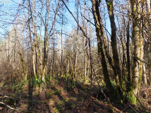 115 CAMPGROUND Ln, Winlock, WA 98596