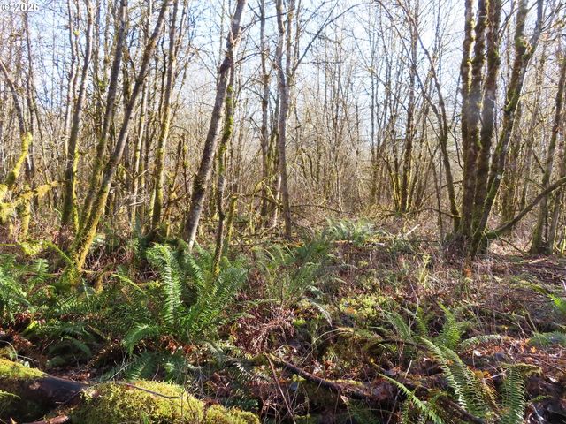 115 CAMPGROUND Ln, Winlock, WA 98596