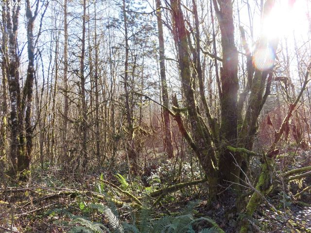 115 CAMPGROUND Ln, Winlock, WA 98596